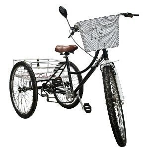 Añadir el título Triciclo Adultos